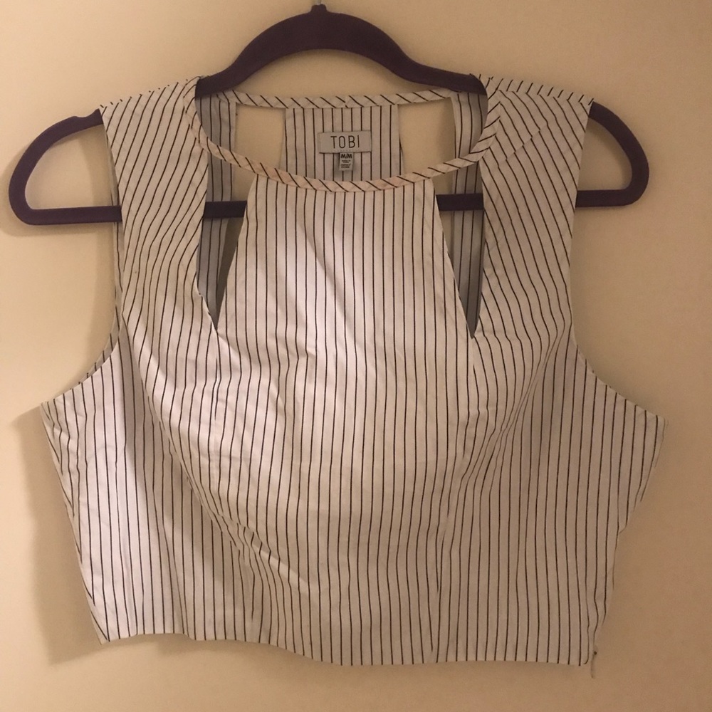 TOBI Pinstriped Crop Top